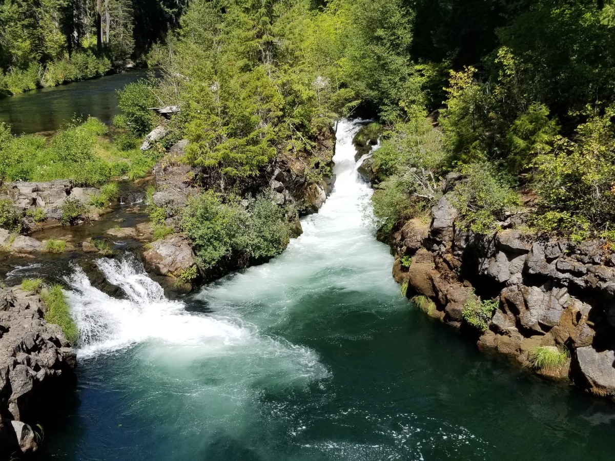 Paren el 2020 que me quiero&nbsp;bajar