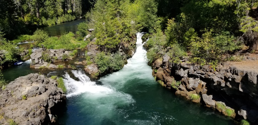 Paren el 2020 que me quiero&nbsp;bajar