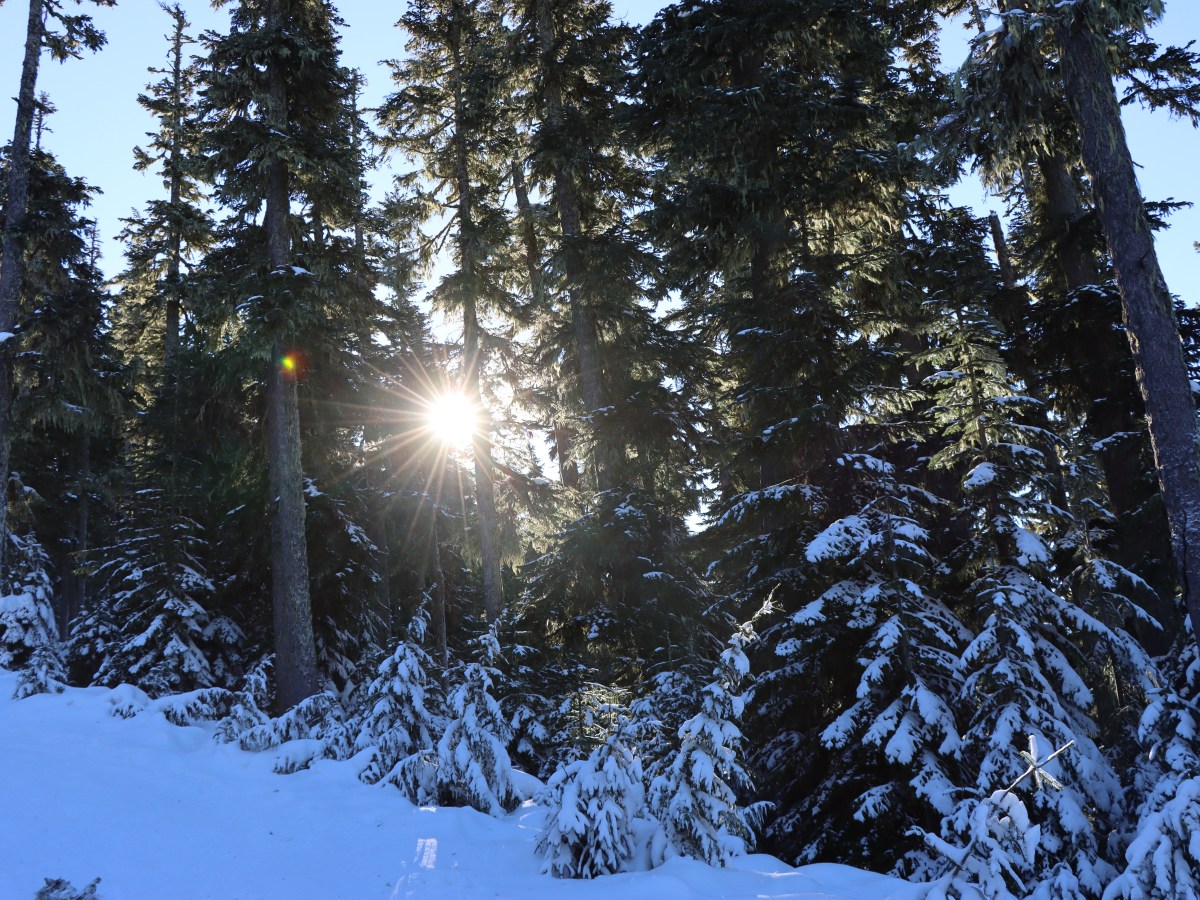Tras los pasos de&nbsp;Rodolfo