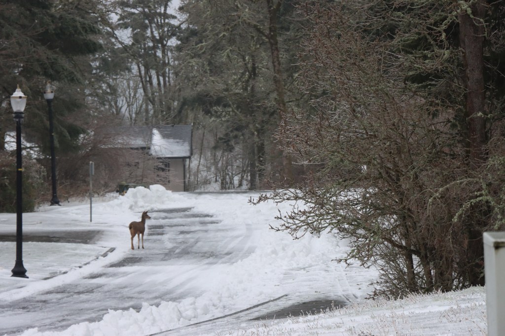 Pequeñas pero gratificantes&nbsp;aventuras