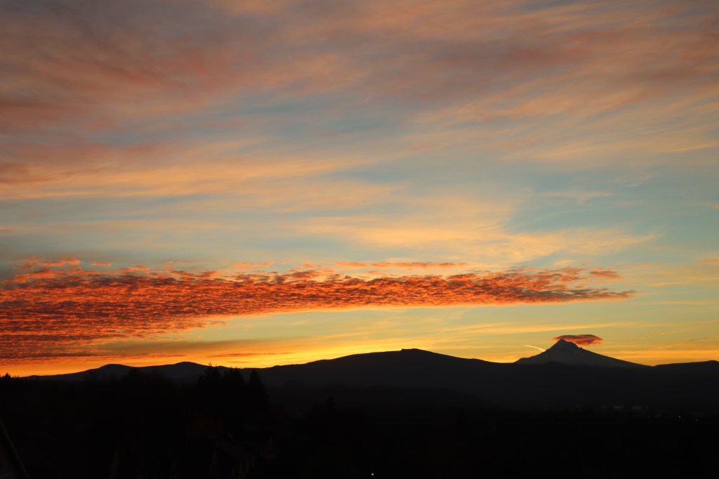 ¡Qué alguien me explique que son los Panda&nbsp;Projects!