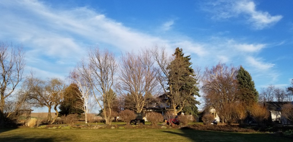 I ❤❤ Walla&nbsp;Walla