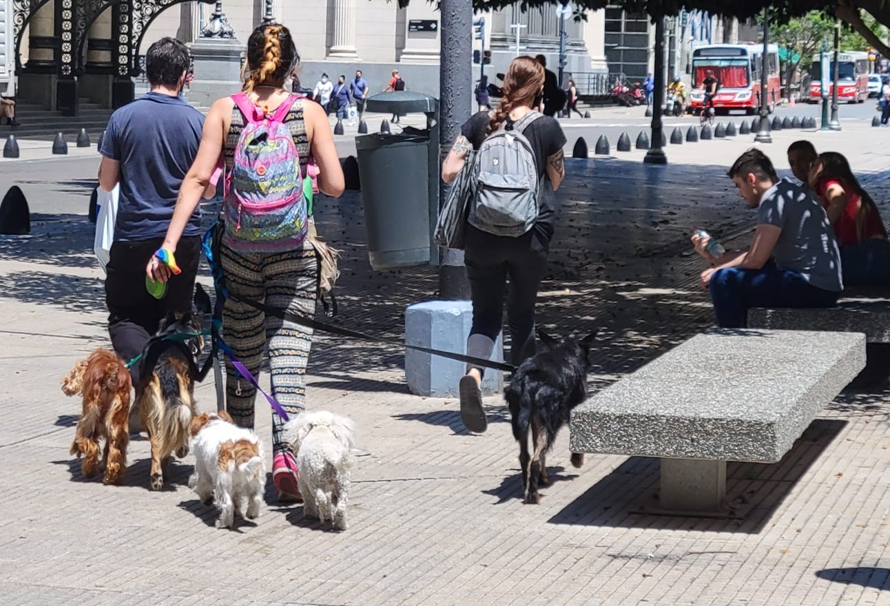 Crónicas Porteñas 7