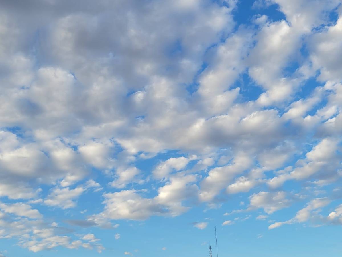 Crónicas Porteñas 11