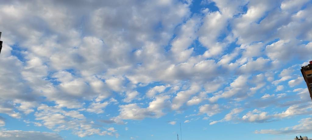 Crónicas Porteñas 11