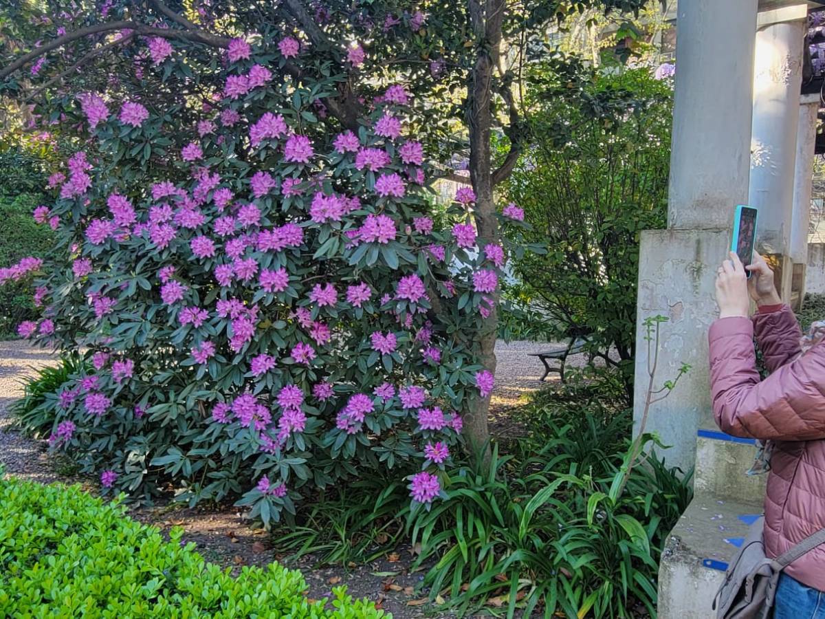 Karina Azaretzky – Historias en&nbsp;verde