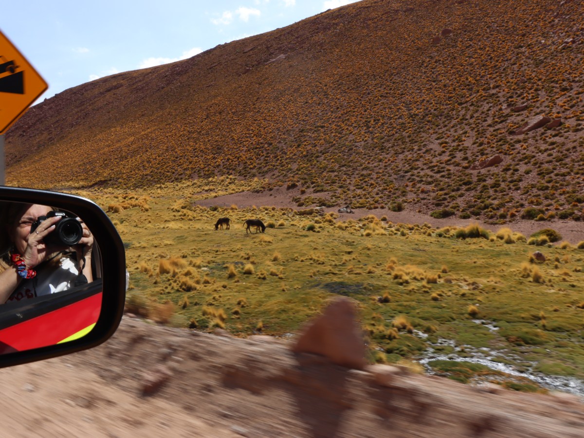 San Pedro de Atacama,&nbsp;Chile