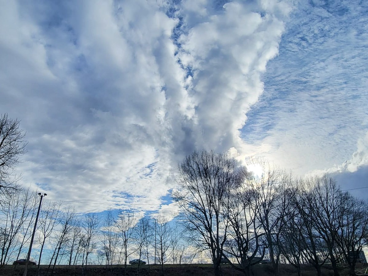 El Otro Washington&nbsp;2