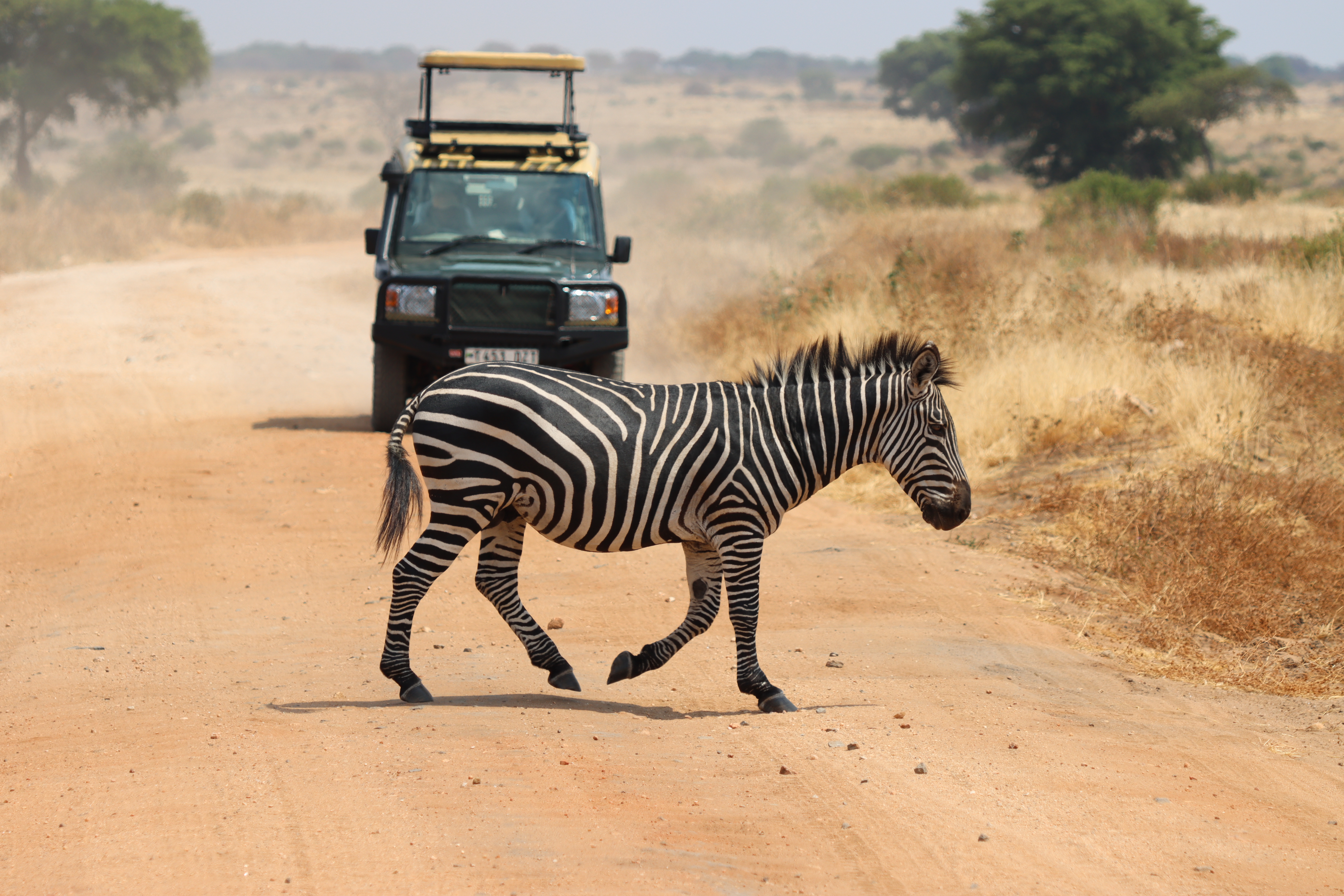 Tanzania